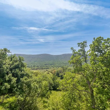 Prázdninový dům Awesome In With Jacuzzi Drivenik